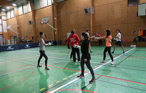 5c78507ed9501_IMG3513.JPG
